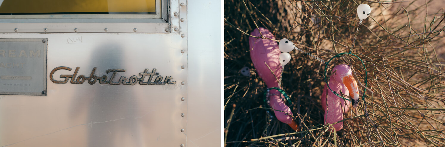 Joshua Tree photographer