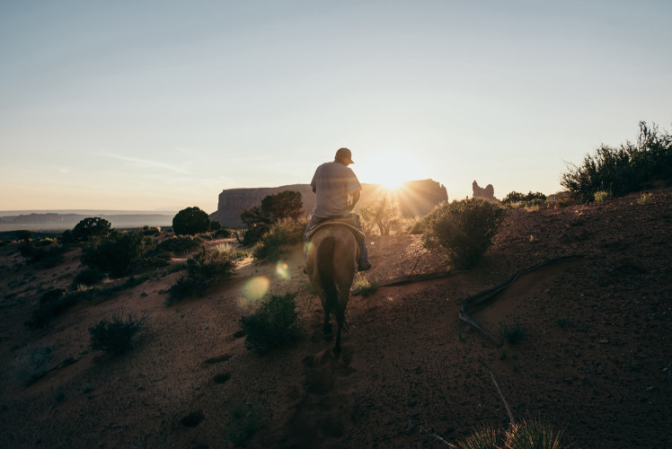 Horse and rider sunset