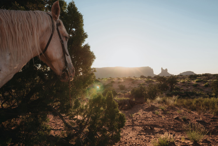 Photo of Monument Valley National Park