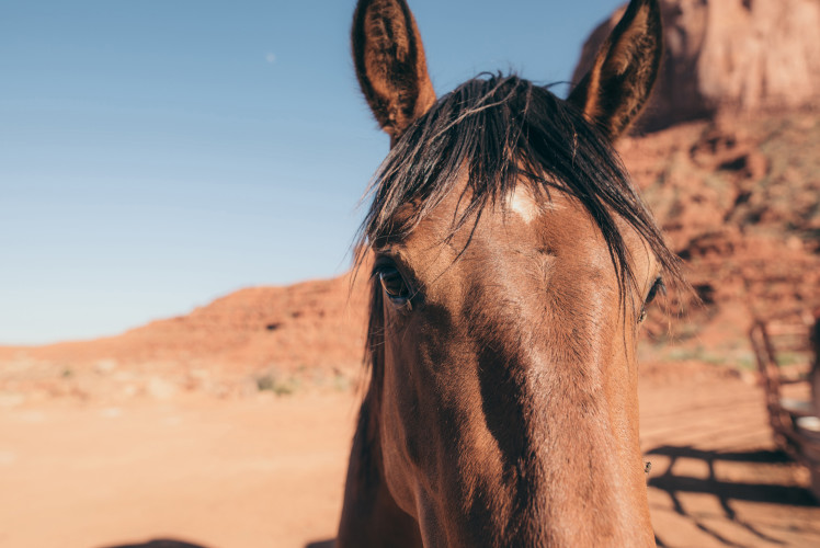 Photo of Monument Valley National Park