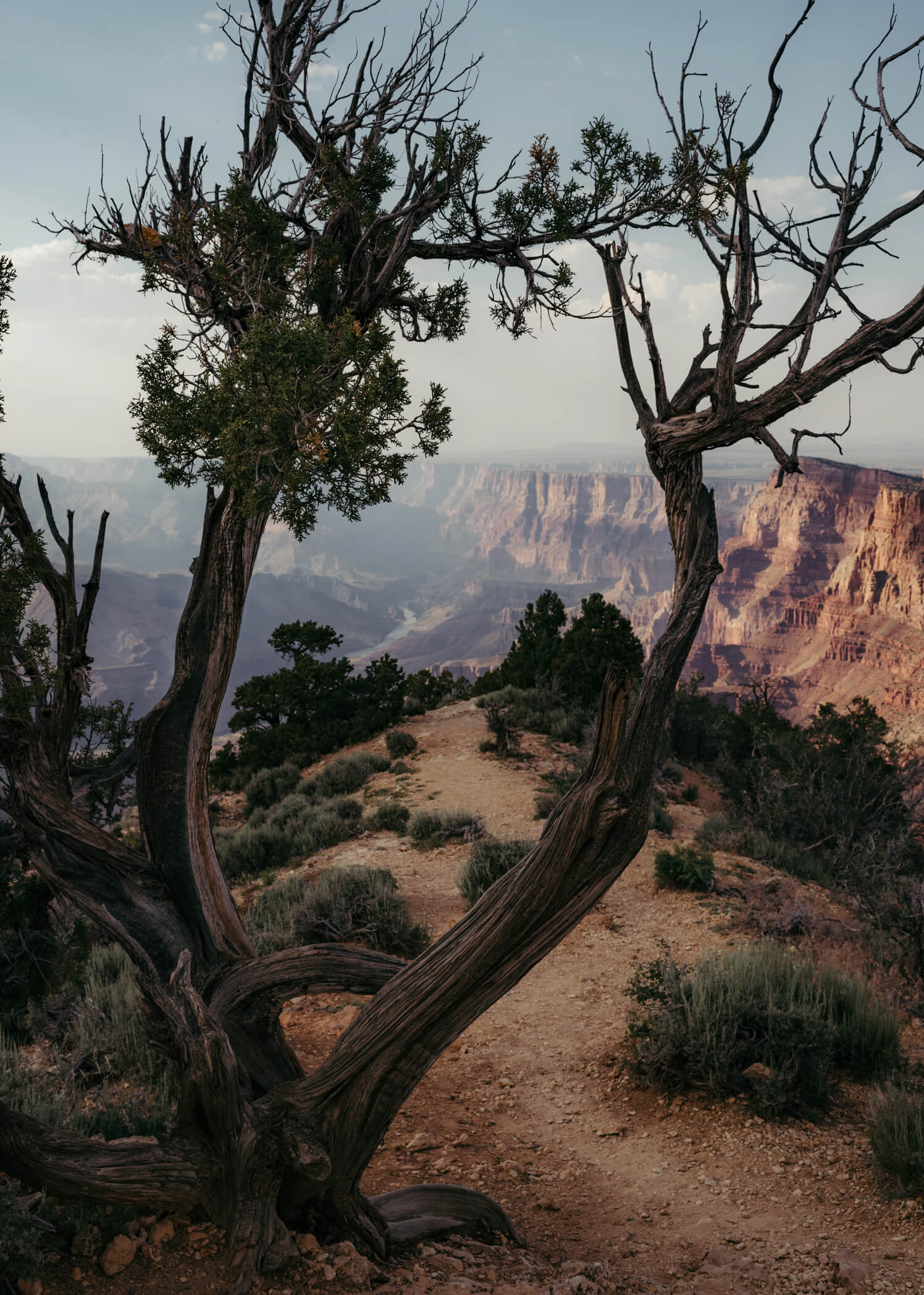 Grand Canyon South Rim