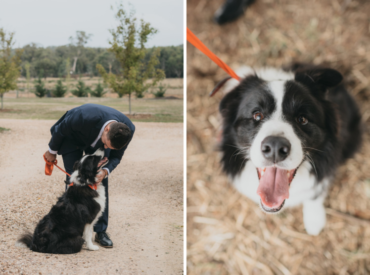 Australian homestead wedding 2016