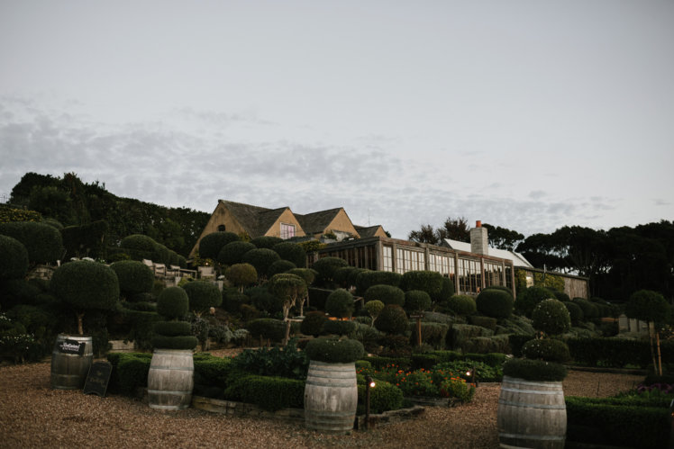 Wedding at Mudbrick Vineyard