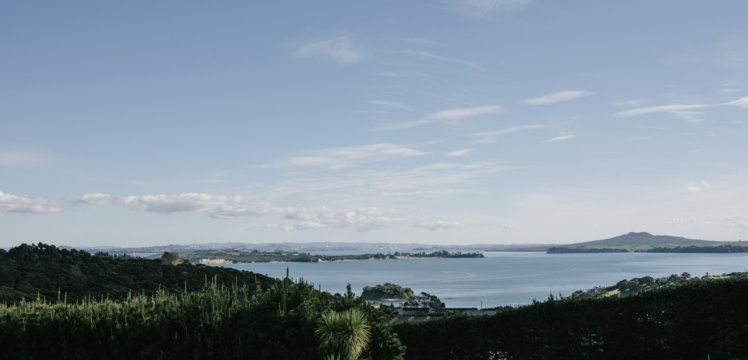 Wildflower Waiheke