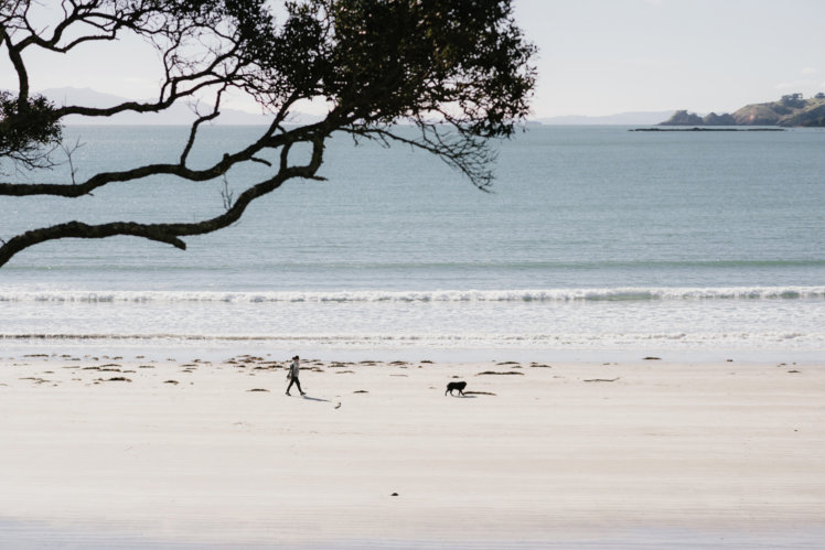 Mudbrick winery wedding