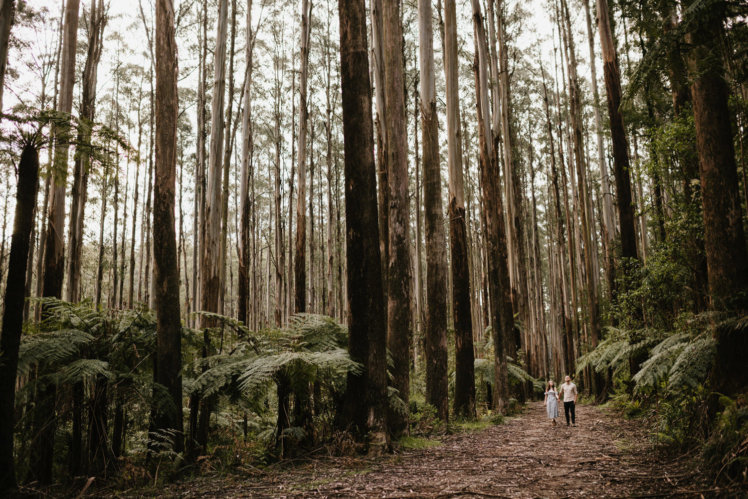 AMazing engagement shoot in Australia